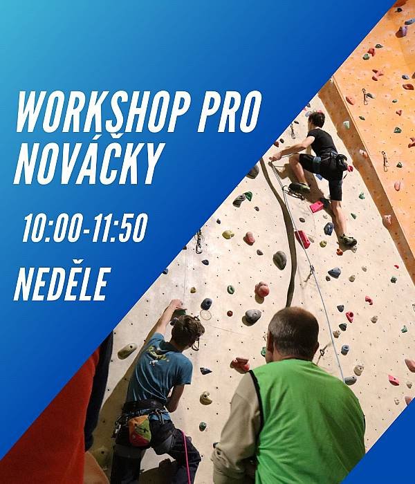 Workshop pro nováčky, 19.1.2025
